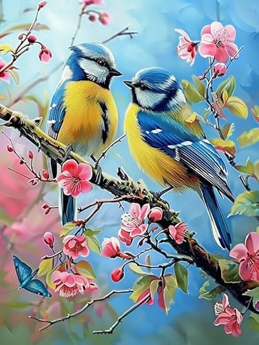 Pavemlo Diamond Painting Kits Birdie, DIY 5D Diamant Stickerei Malerei Kits Tier, Full Drill Kristall Set Strass Stickerei Bilder DIY Diamant Malerei für House Wall Dekoration 30x40cm Pavemlo Diamond Painting Kits Birdie, DIY 5D Diamant Stickerei Malerei Kits Tier, Full Drill Kristall Set Strass Stickerei Bilder DIY Diamant Malerei für House Wall Dekoration 30x40cm von Pavemlo