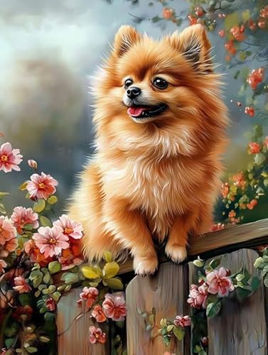 Pavemlo Diamond Painting Set Zubehör Hund, 5D Diamant Stickerei Malerei Kits, Full Drill Kristall Set Strass Stickerei Bilder DIY Diamant Malerei für House Wall Dekoration 30x40 cm Hn978 Pavemlo Diamond Painting Set Zubehör Hund, 5D Diamant Stickerei Malerei Kits, Full Drill Kristall Set Strass Stickerei Bilder DIY Diamant Malerei für House Wall Dekoration 30x40 cm Hn978 von Pavemlo
