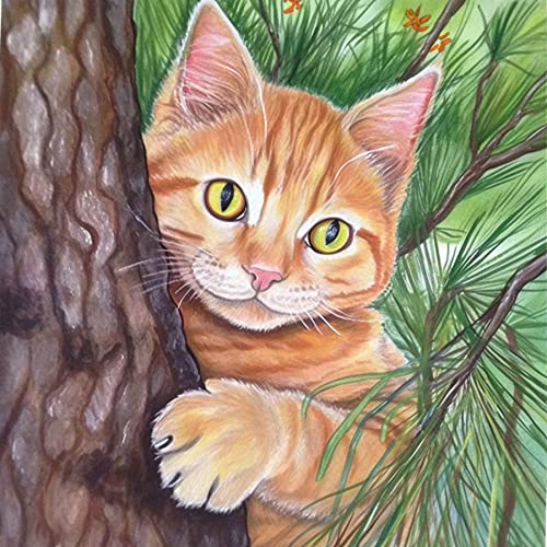 Pavemlo Diamond Painting Set Zubehör Katze Baum, DIY 5D Diamant Stickerei Malerei Kits Tiere, Full Drill Kristall Set Strass Stickerei Bilder DIY Diamant Malerei für House Wall Dekoration 30x30cm Pavemlo Diamond Painting Set Zubehör Katze Baum, DIY 5D Diamant Stickerei Malerei Kits Tiere, Full Drill Kristall Set Strass Stickerei Bilder DIY Diamant Malerei für House Wall Dekoration 30x30cm von Pavemlo
