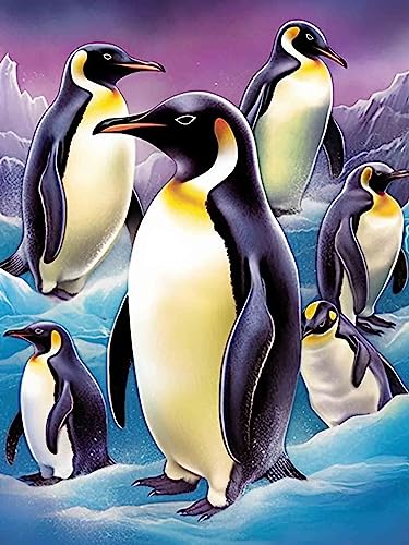 Pavemlo Diamond Painting Set Zubehör Winterpinguin, DIY 5D Diamant Stickerei Malerei Kits Tier, Full Drill Kristall Set Strass Stickerei Bilder DIY Diamant Malerei für House Wall Dekoration 30X40 cm von Pavemlo