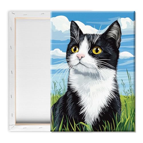 Pavemlo Malennach Zahlen Erwachsene mit Rahmen Katze Tier – 20x30 cm kleines Malen nach Zahlen auf Leinwand, Anfängerfreundliches DIY Malset, Perfekt für Wohnkultur & kreative Geschenke Pavemlo Malennach Zahlen Erwachsene mit Rahmen Katze Tier – 20x30 cm kleines Malen nach Zahlen auf Leinwand, Anfängerfreundliches DIY Malset, Perfekt für Wohnkultur & kreative Geschenke von Pavemlo