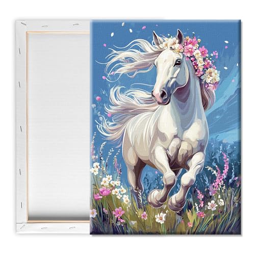 Pavemlo Malennach Zahlen Erwachsene mit Rahmen Pferd Tier – 20x30 cm kleines Malen nach Zahlen auf Leinwand, Anfängerfreundliches DIY Malset, Perfekt für Wohnkultur & kreative Geschenke von Pavemlo