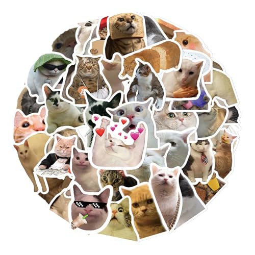 Katzen Sticker, 150 Lustige Katzensticker Für Kinder Und Mädchen, Perfekt Für Picknick, Camping Und Outdoor-Aktivitäten, 3 Pack Mit Insgesamt 150 Sticker Katzen (50 Stück Pro Packung) von Pcone Kon