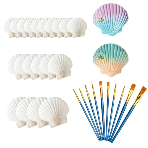 30 Stück Muscheln Zum Basteln Set, 20 Natürliche Muscheln in Weiß Und Blau Mit 10 Verschiedene Größen Von Pinseln, Ideal Für DIY Handwerk, Deko Muscheln Für Heimdekoration Und Kreativprojekte 30 Stück Muscheln Zum Basteln Set, 20 Natürliche Muscheln in Weiß Und Blau Mit 10 Verschiedene Größen Von Pinseln, Ideal Für DIY Handwerk, Deko Muscheln Für Heimdekoration Und Kreativprojekte von PcvGef