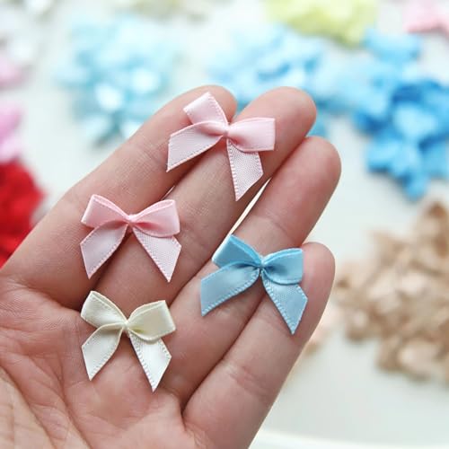 2,2 cm hochwertige Satinband-Schleifen zum Aufnähen in 18 Farben – Mini-Spitzenschleifen für Kleiderdekoration, Kartenherstellung, Bastelbedarf (10 Stück) von Peachcor