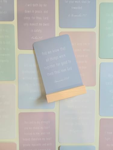 Pearls of Parchment Everyday Encouragement Bible Verse Cards - 30 Scripture Cards with Wooden Display Stand - Christian Gifts for Women, Inspirational Desk Decor, Faith-Based Encouragement Cards von Pearls of Parchment