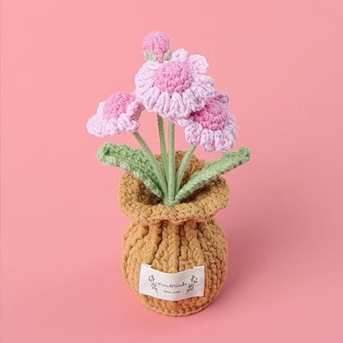 Handgefertigte Häkelblumen, kleine Topfpflanzen, gestrickte Schreibtischdekorationen für Zuhause, Büro, Dekor (Daisies) von Peauley