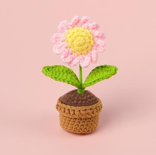 Handgefertigte Häkelblumen, kleine Topfpflanzen, gestrickte Schreibtischdekorationen für Zuhause, Büro, Dekoration, 10,2 cm, rosa künstliche Blume Handgefertigte Häkelblumen, kleine Topfpflanzen, gestrickte Schreibtischdekorationen für Zuhause, Büro, Dekoration, 10,2 cm, rosa künstliche Blume von Peauley