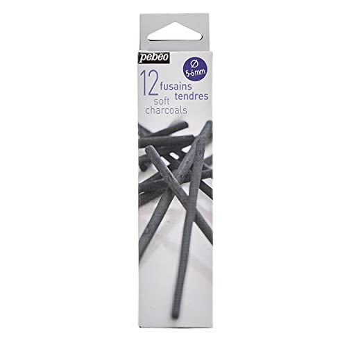 Pebeo 383100 Zeichenkohle 12-er Packung, weich, 5-6 mm Pebeo 383100 Zeichenkohle 12-er Packung, weich, 5-6 mm von Pebeo