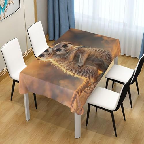 Pechiwuo Tischdecke Outdoor Erdmännchen Wetterfest Tischdecke Abwaschbar 3D Erdmännchen Tischdecken Polyester Wasserdicht Tischwäsche für Garten Küche Party Biertisch, 90x90 cm 694v Pechiwuo Tischdecke Outdoor Erdmännchen Wetterfest Tischdecke Abwaschbar 3D Erdmännchen Tischdecken Polyester Wasserdicht Tischwäsche für Garten Küche Party Biertisch, 90x90 cm 694v von Pechiwuo
