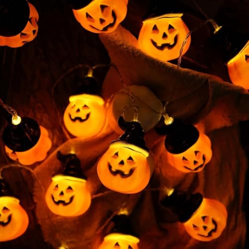 Peelanmall Halloween Kürbis Lichterkette, 3m, 20 LED Kürbis Lichter, Innen/Außen, Orange, Batteriebetrieben, Schnur, Halloween Deko Garten, Veranda Peelanmall Halloween Kürbis Lichterkette, 3m, 20 LED Kürbis Lichter, Innen/Außen, Orange, Batteriebetrieben, Schnur, Halloween Deko Garten, Veranda von Peelanmall