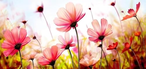 Diamond Painting Blumen Malen Nach Zahlen Erwachsene 5D Diamant Painting Bilder Kinder, DIY Diamond Painting Blumen Dimondpaintin Groß XXL Full Drill Cross Stickerei für Home Wanddeko Gifts 50x115cm Diamond Painting Blumen Malen Nach Zahlen Erwachsene 5D Diamant Painting Bilder Kinder, DIY Diamond Painting Blumen Dimondpaintin Groß XXL Full Drill Cross Stickerei für Home Wanddeko Gifts 50x115cm von Peepezo
