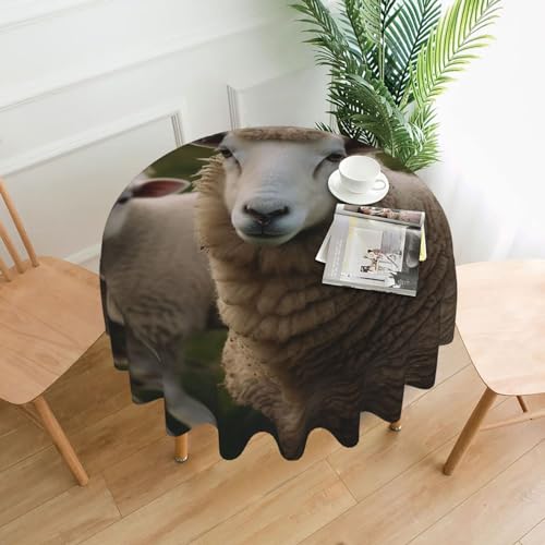 Tischdecke mit Schaf-Tiermotiv, auslaufsicher, wasserfest, dekorative Stoff-Tischdecke für Zuhause, Küche, Innen- und Außenbereich, Esstisch 152,4 cm Tischdecke mit Schaf-Tiermotiv, auslaufsicher, wasserfest, dekorative Stoff-Tischdecke für Zuhause, Küche, Innen- und Außenbereich, Esstisch 152,4 cm von Peiyeety