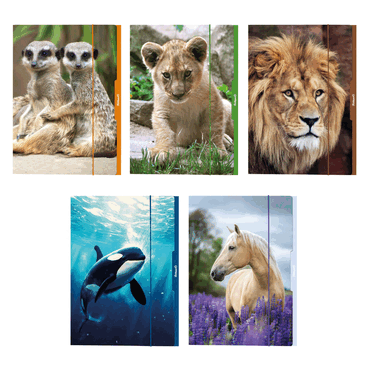 5 x PELIKAN Sammelmappe Tiere - A3 sortiert. von Pelikan