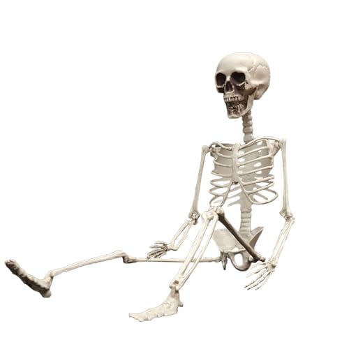 Penlimly Skelett Halloween - 61 cm Bewegbare Halloween Figur | Knochen Dekoration Schädel Deko Zusammenklappbar Für Und Kinder Party von Penlimly