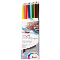 Pentel Arts Aquarellstifte farbsortiert, 1 Set von Pentel