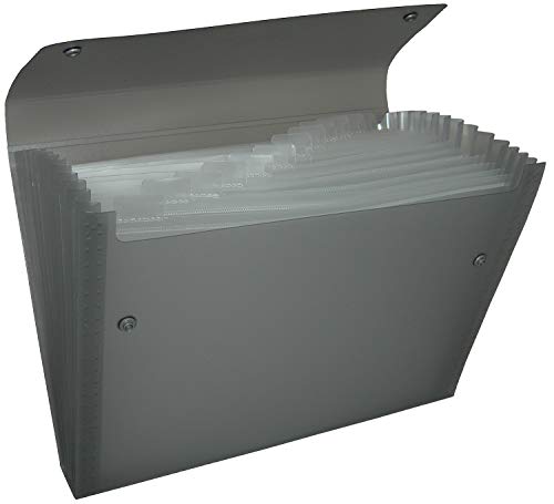 Pentel DCD14A Recycology Dokumentenmappe Organiser aus 50% recyceltem PP, A4, 13 Taschen, schwarz von Pentel