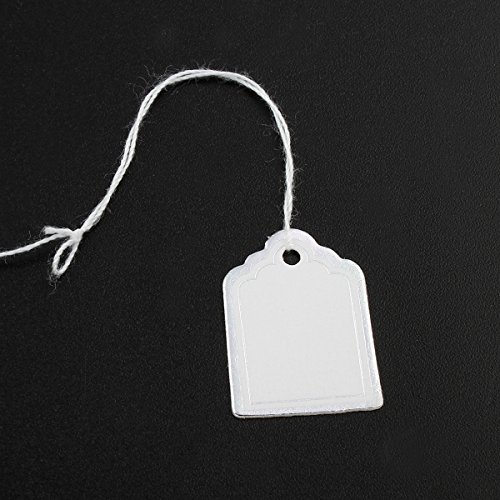 300stk Etiketten mit Faden Preisetiketten Preisschilder Faden Etiketten Schmucketiketten Fadenetikett Hängeetiketten Kartonetikett Preisauszeichnung (24 x 17 mm Silber Weiss) von Perlin