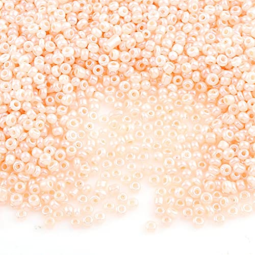 450g Rocailles Perlen 2mm Ceylon Set Glasperlen Rund 30000stk 11/0 Indianerperlen Perlenhäkeln Perlentiere Seed Beads (Salmon Lachs) von Perlin