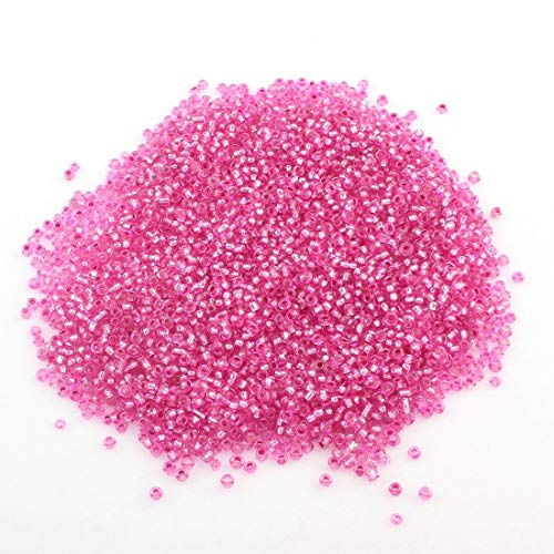 450g Rocailles Perlen 2mm Silbereinzug Set Glasperlen Rund 30000stk 11/0 Indianerperlen Perlenhäkeln Perlentiere Seed Beads Silbereinzug (Pink) von Perlin