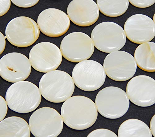 Perlmutt Muscheln Perlen Weiß 12mm 1 strang Münze Scheibeform Natur Pearl Beads Perle zum fädeln für DIY Schmuck Herstellung von Perlin