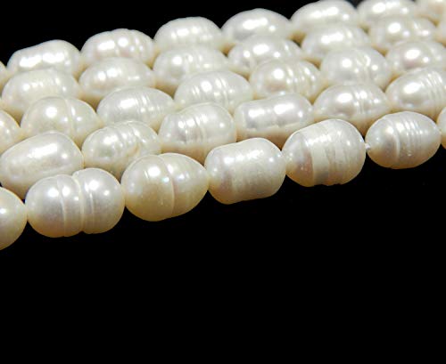 Süßwasserperlen Zuchtperlen 10mm Weiß Reiskorn Natur Barock Edelstein Perlen Schmuckperlen Schmuckstein Perle Zum Fädeln für DIY Kette Basteln Pearl Beads Gemstone D491 von Perlin