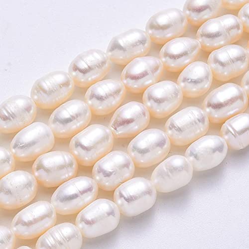 Süßwasserperlen Zuchtperlen 8~10mm Weiß Krem Reiskorn Natur Barock Edelstein Perlen Muschelperlen Schmuckstein Perle Zum Fädeln, Freshwater Pearl Beads Gemstone von Perlin