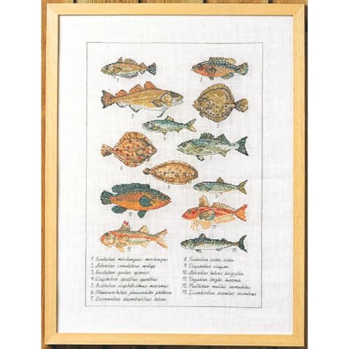 Permin Kreuzstich Stickpackung Fisch Zählmuster Permin Kreuzstich Stickpackung Fisch Zählmuster von Permin