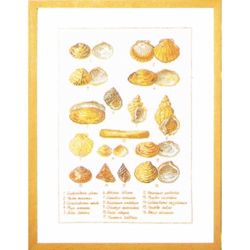 Permin Kreuzstich Stickpackung Muschelschale Zählmuster Permin Kreuzstich Stickpackung Muschelschale Zählmuster von Permin