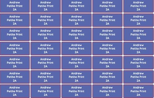 Petite Print® Namensaufkleber für Kinder (75 Stück), Schule, Kindergarten, Kleidung & Gegenstände, Namensetiketten personalisiert mit Namen und waschmaschinenfest (Unifarbe) von Petite Print