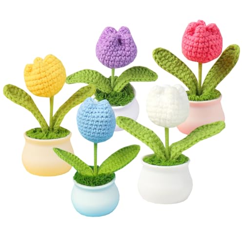 Petunny 5 Stück gestrickte Blumen, Häkelblumen, handgefertigt, kleine Topfblumen für Geburtstag, Hochzeit, Valentinstag, Weihnachten und Heimdekoration Petunny 5 Stück gestrickte Blumen, Häkelblumen, handgefertigt, kleine Topfblumen für Geburtstag, Hochzeit, Valentinstag, Weihnachten und Heimdekoration von Petunny