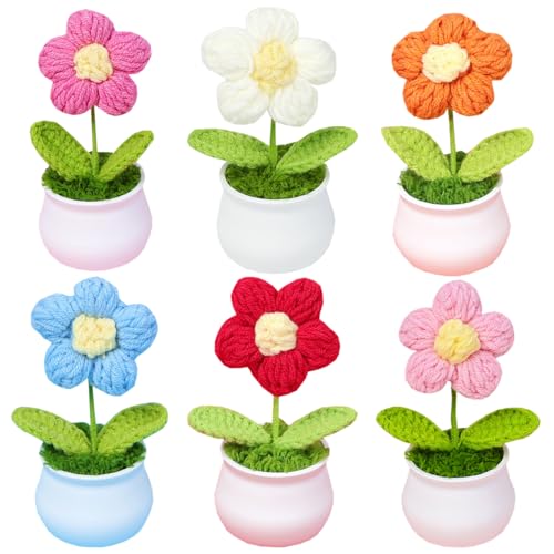 Petunny Häkelblumen, handgefertigt, gestrickt, Häkelblumen, kleine Topfblumen für Geburtstag, Hochzeit, Valentinstag, Weihnachten und Heimdekoration, 6 Stück Petunny Häkelblumen, handgefertigt, gestrickt, Häkelblumen, kleine Topfblumen für Geburtstag, Hochzeit, Valentinstag, Weihnachten und Heimdekoration, 6 Stück von Petunny