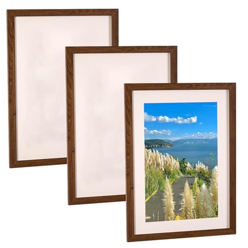 Pfjsseey 8x10 Bilderrahmen, 3pcs Hanging & Tisch Display Holz Fotorahmen, Wohnkultur für Schlafzimmer, Esszimmer, Café von Pfjsseey