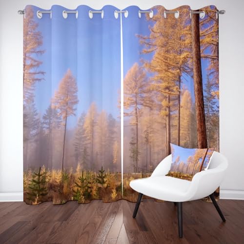 Pggong Wald Farn Ginkgo Baum Ösenvorhang, Jungle Wildpflanze Gardinen Thermovorhang, Natur Landschaft Himmel Vorhang Verdunklungsvorhänge 2er Set für Kinderzimmer Schlafzimmer, H183 x B117 cm Pggong Wald Farn Ginkgo Baum Ösenvorhang, Jungle Wildpflanze Gardinen Thermovorhang, Natur Landschaft Himmel Vorhang Verdunklungsvorhänge 2er Set für Kinderzimmer Schlafzimmer, H183 x B117 cm von Pggong