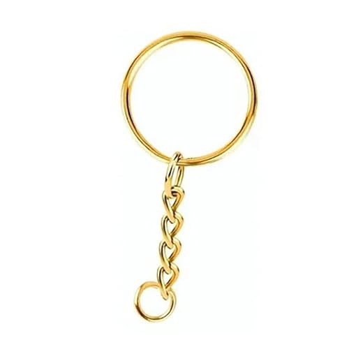 100 Stück Set Golden Metall -Schlüsselringe, DIY -Handwerk, Reisen, Taschen und Brieftaschen mit Kette für Unisex von Phefop