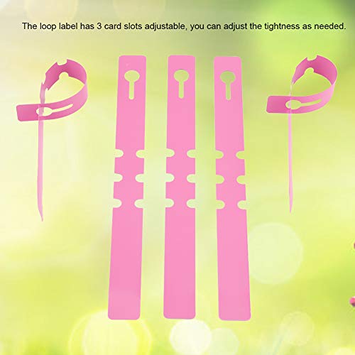 Phefop 100 Stück Pflanzenetiketten, verstellbar, zum Markieren von Tabletts oder Töpfen, ideal für die Verfolgung von Aussaat, Blumenetikett zum Aufhängen (Rosa) von Phefop