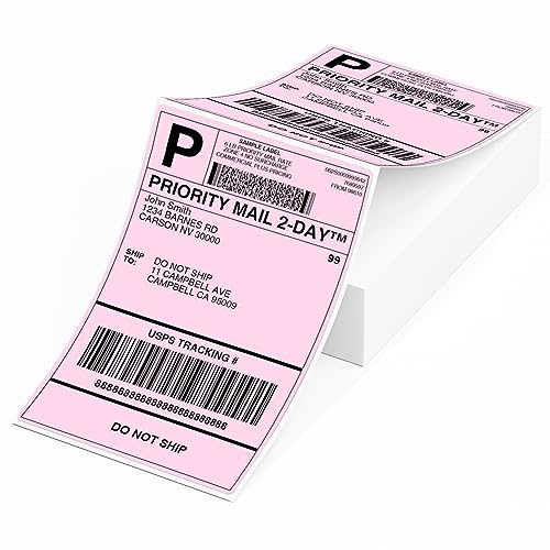 Phomemo 4X6'' Thermo-Versandetiketten, 100 Stück Rosa Gefaltete Etiketten für 241bt/D520bt/b246d Etikettendrucker Kompatibel mit Etikettendrucker MUNBYN, Phomemo, Rollo, IDPRT SP410, POLONO PL60 von Phomemo