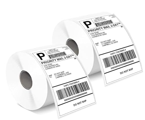 Phomemo Etiketten 4x6 1000 Etiketten/Rolle, Versandetiketten Kompatibel mit MUNBYN, Phomemo, Polono Etikettendrucker, BPA-freie Thermoetiketten Selbstklebende für DHL, UPS, DPD-100 x 150 mm von Phomemo
