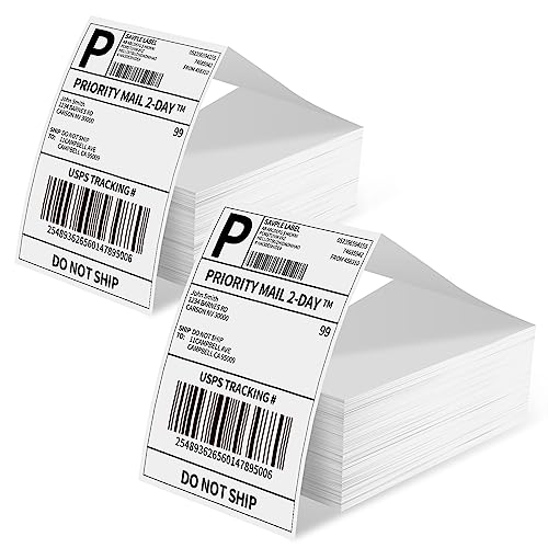 Phomemo Etiketten 4x6 1000 Etiketten/Stapel, Versandetiketten Kompatibel mit MUNBYN, Phomemo, Polono Etikettendrucker, BPA-freie Thermoetiketten Selbstklebende für DHL, UPS, DPD-100 x 150 mm von Phomemo