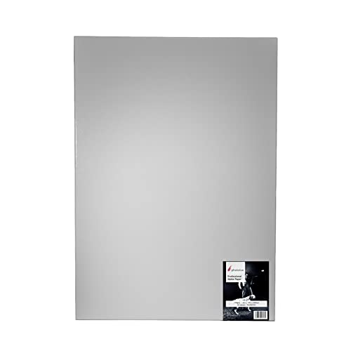 Photolux Professional Matte Paper 230 gsm Fotopapier (432x648 (50Bl), Millimeter) von Photolux