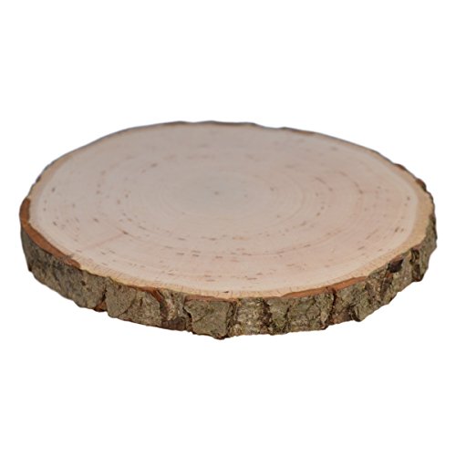 Rindenbrett rund - Rindenscheibe ca. 8-10 cm, Baumscheibe Holz natur zum Basteln Bemalen Dekorieren von Piccolino Bastelbedarf