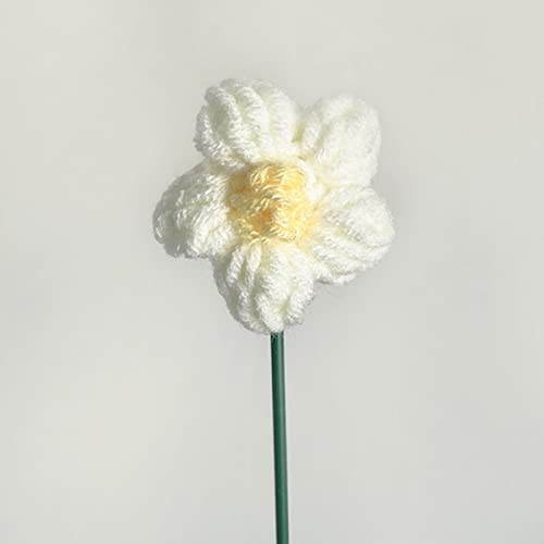Piceioep Handgestrickte Häkelblumen für Valentinstag, Muttertag, Geburtstag, Hochzeit, Party, Dekoration, 5 Stück Piceioep Handgestrickte Häkelblumen für Valentinstag, Muttertag, Geburtstag, Hochzeit, Party, Dekoration, 5 Stück von Piceioep