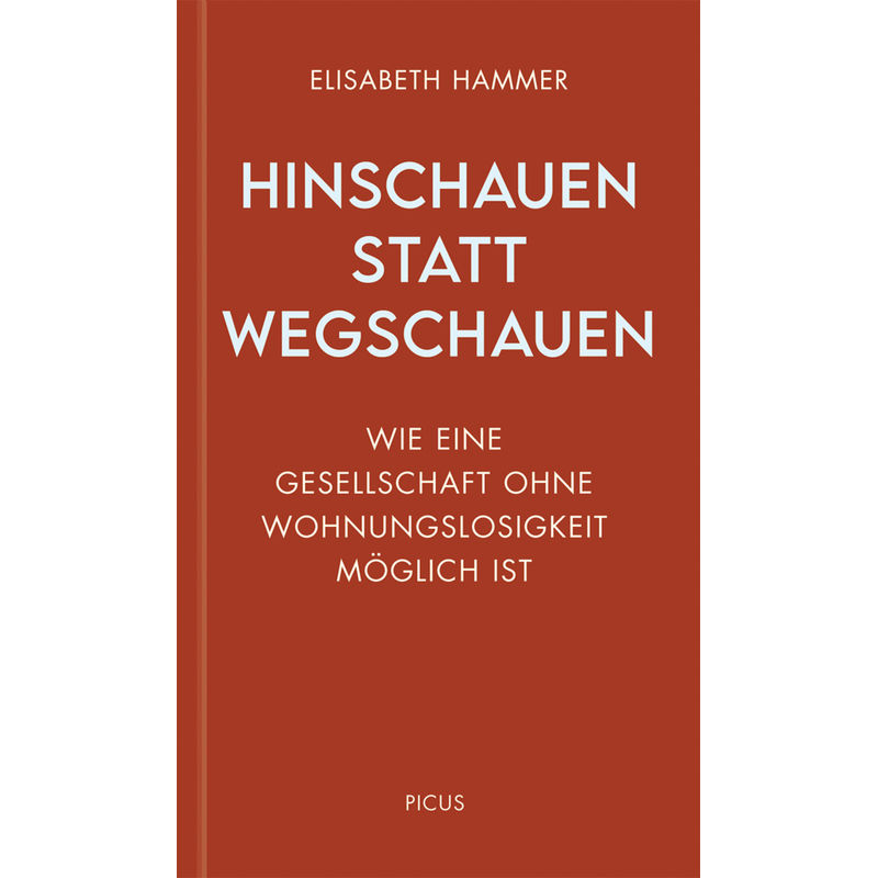 Hinschauen Statt Wegschauen - Elisabeth Hammer, Gebunden von Picus Verlag