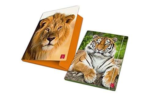 Pigna, Mappe mit Gummiband ANIMAL, Rücken 1,2, Format 26x35,5 cm, Packung mit 6 Pigna, Mappe mit Gummiband ANIMAL, Rücken 1,2, Format 26x35,5 cm, Packung mit 6 von Pigna