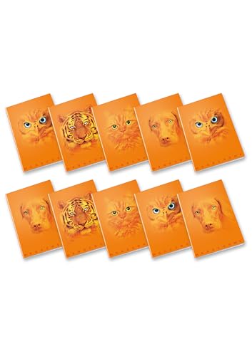 Pigna, Maxi-Heft Monochrom Orange, A4, Papier innen 100 g/m², Seiten 72 + Sichtblatt, Innenseite 5 m, kariert 5 mm, sortierte Motive, Packung mit 10 Stück Pigna, Maxi-Heft Monochrom Orange, A4, Papier innen 100 g/m², Seiten 72 + Sichtblatt, Innenseite 5 m, kariert 5 mm, sortierte Motive, Packung mit 10 Stück von Pigna