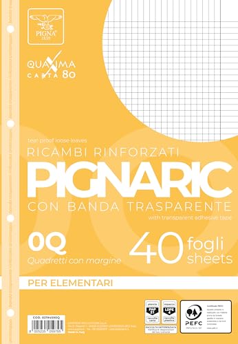 Pigna, Packung mit 40 4-Loch, Ablage mit verstärktem Seitenstreifen, Blätter mit verstärkten Löchern, Format A4, 21x29,7, 0Q, quadratisch 5 mm mit Rand von Pigna