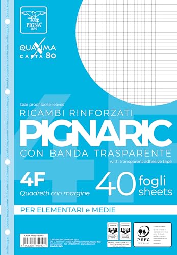 Pigna, Packung mit 40 4-Loch, Archivierung, verstärkter Seitenstreifen, Blätter mit verstärkten Löchern, A4-Blätter, 21x29,7, 4F, 4 mm Quadrat mit Rand von Pigna
