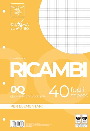 Pigna, Packung mit 40 Blättern mit 4 Löchern, A4, 21x29,7, Blätter mit Löchern ohne Verstärkung, 0Q, quadratisch 5 mm mit Rand von Pigna