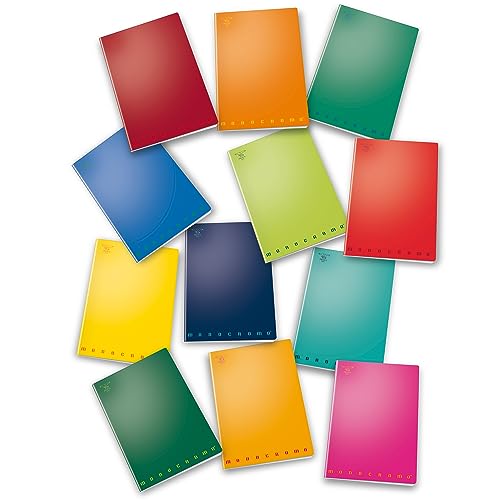 Pigna 8005235155954 Notizbuch Maxi (A4) Lineatur 10" Große Quadrate für Elementari Hefte, Mehrfarbig von Pigna