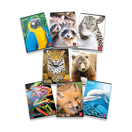 Pigna Animal Notizbücher, Lineatur 10 mm, Grundschulen, Set mit 3 Heften von Pigna